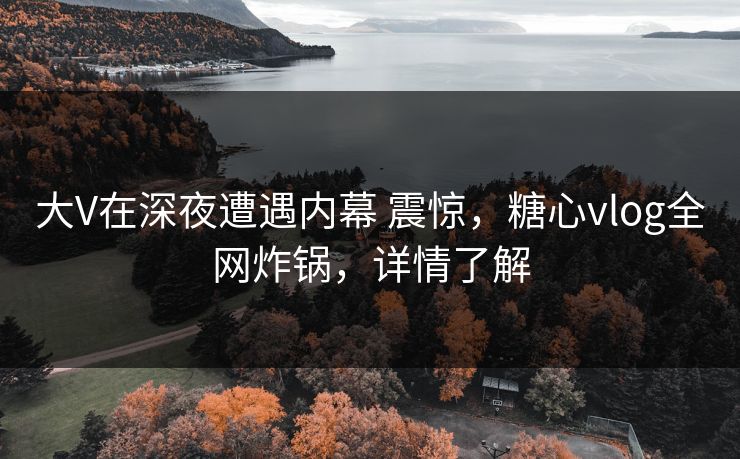大V在深夜遭遇内幕 震惊，糖心vlog全网炸锅，详情了解
