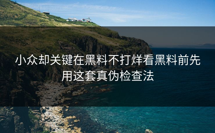 小众却关键在黑料不打烊看黑料前先用这套真伪检查法